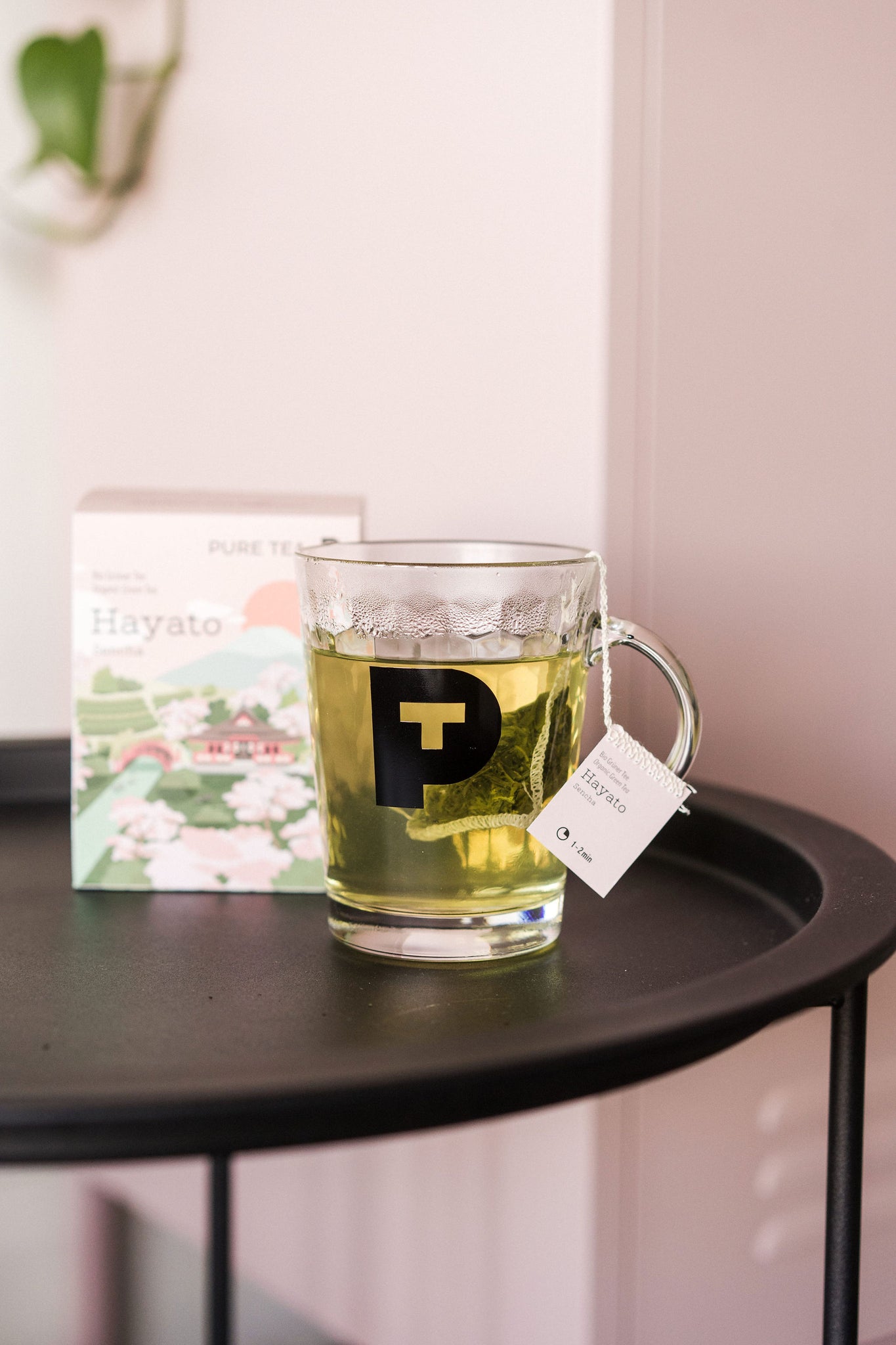 Hayoto Sencha 15pk Økologisk